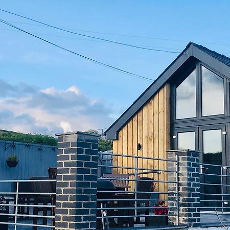Red Kite Cottage Carmarthen Ngoại thất bức ảnh