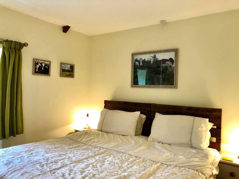 Red Kite Cottage Carmarthen Ngoại thất bức ảnh