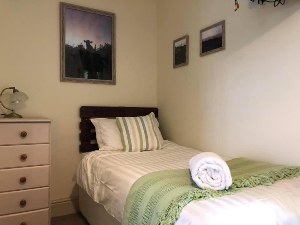 Red Kite Cottage Carmarthen Ngoại thất bức ảnh
