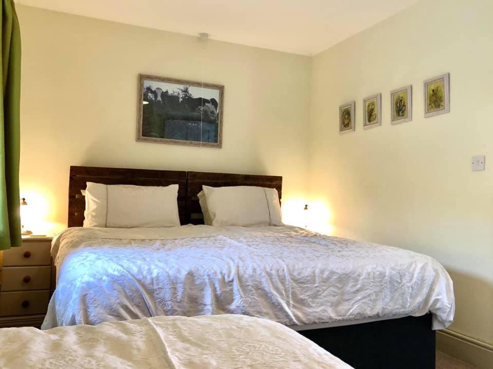 Red Kite Cottage Carmarthen Ngoại thất bức ảnh