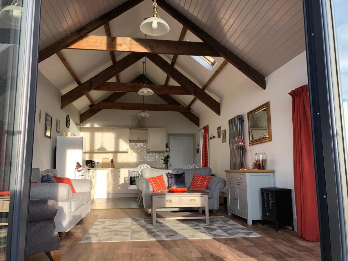 Red Kite Cottage Carmarthen Ngoại thất bức ảnh