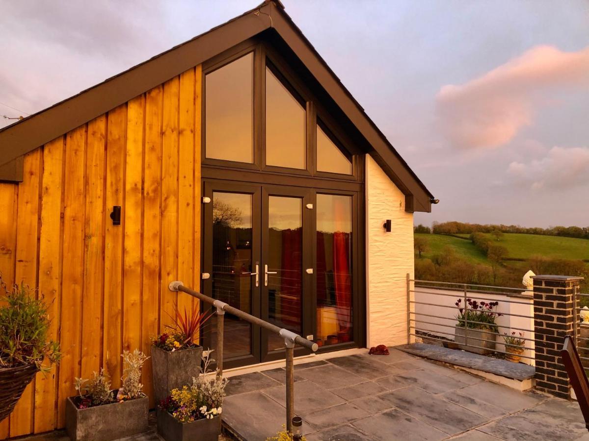 Red Kite Cottage Carmarthen Ngoại thất bức ảnh