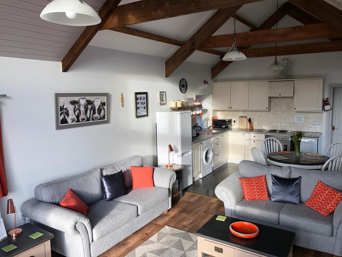 Red Kite Cottage Carmarthen Ngoại thất bức ảnh