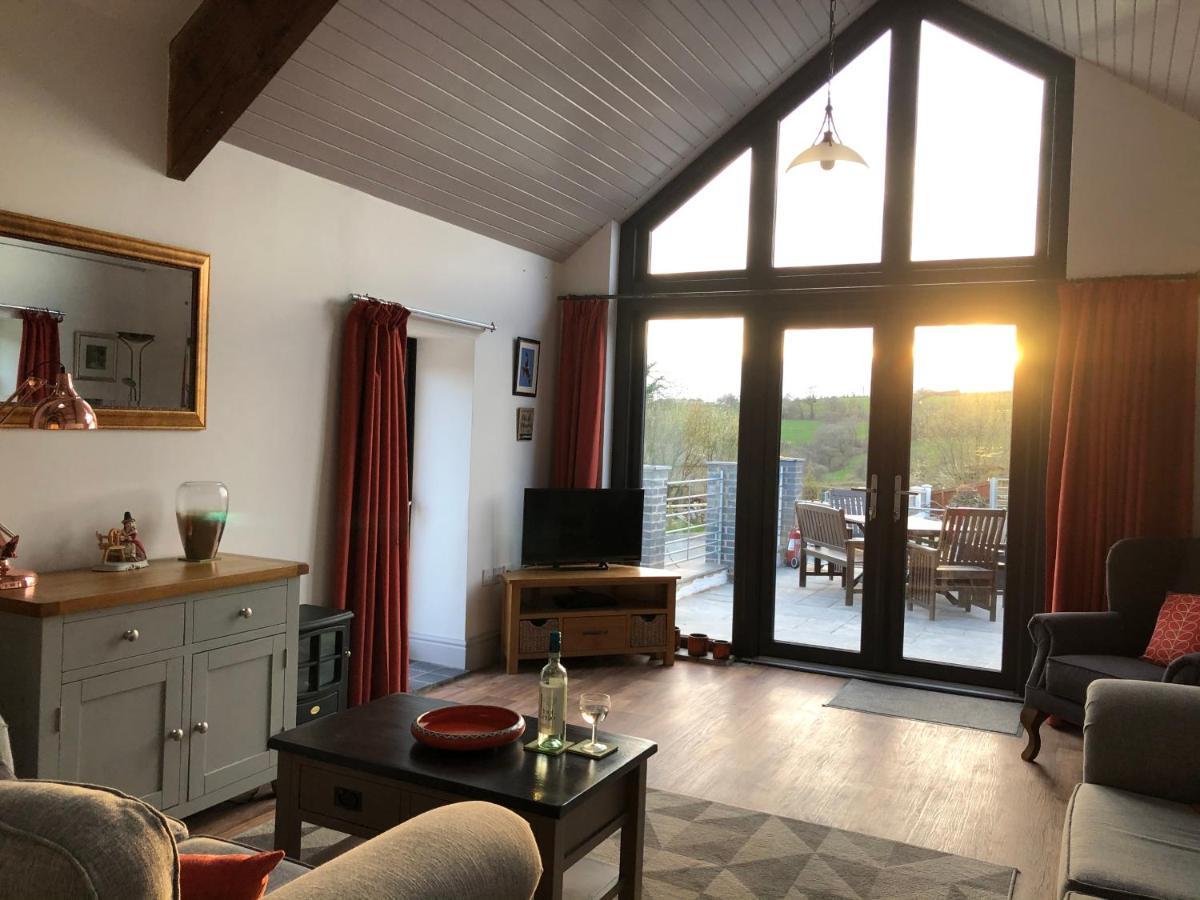 Red Kite Cottage Carmarthen Ngoại thất bức ảnh