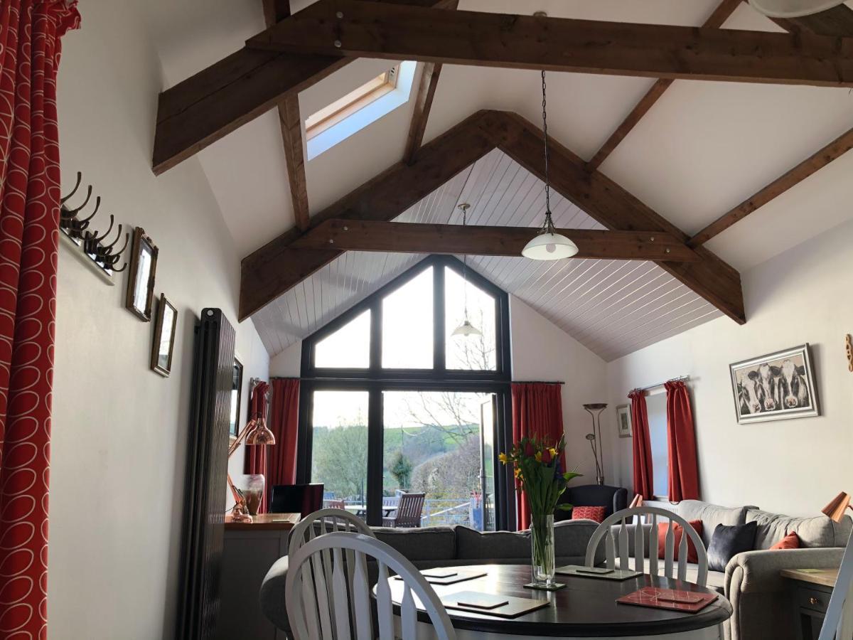 Red Kite Cottage Carmarthen Ngoại thất bức ảnh