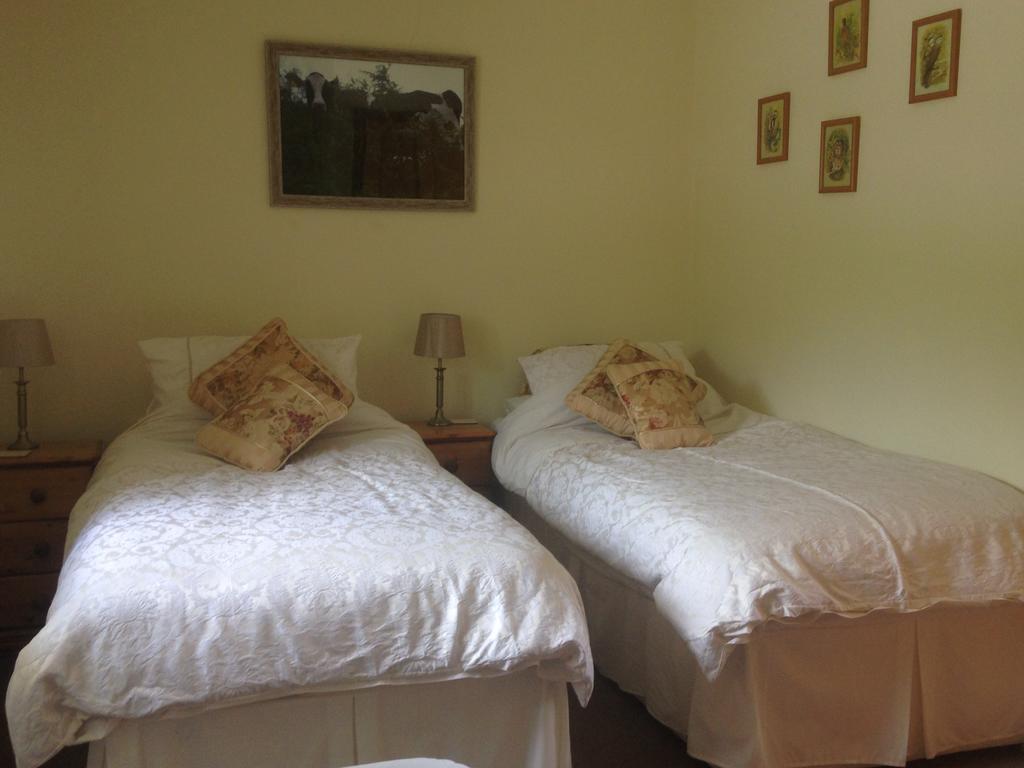 Red Kite Cottage Carmarthen Ngoại thất bức ảnh